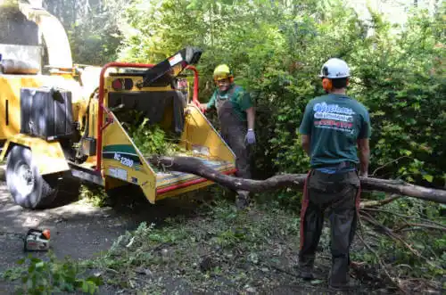 tree services Osage City